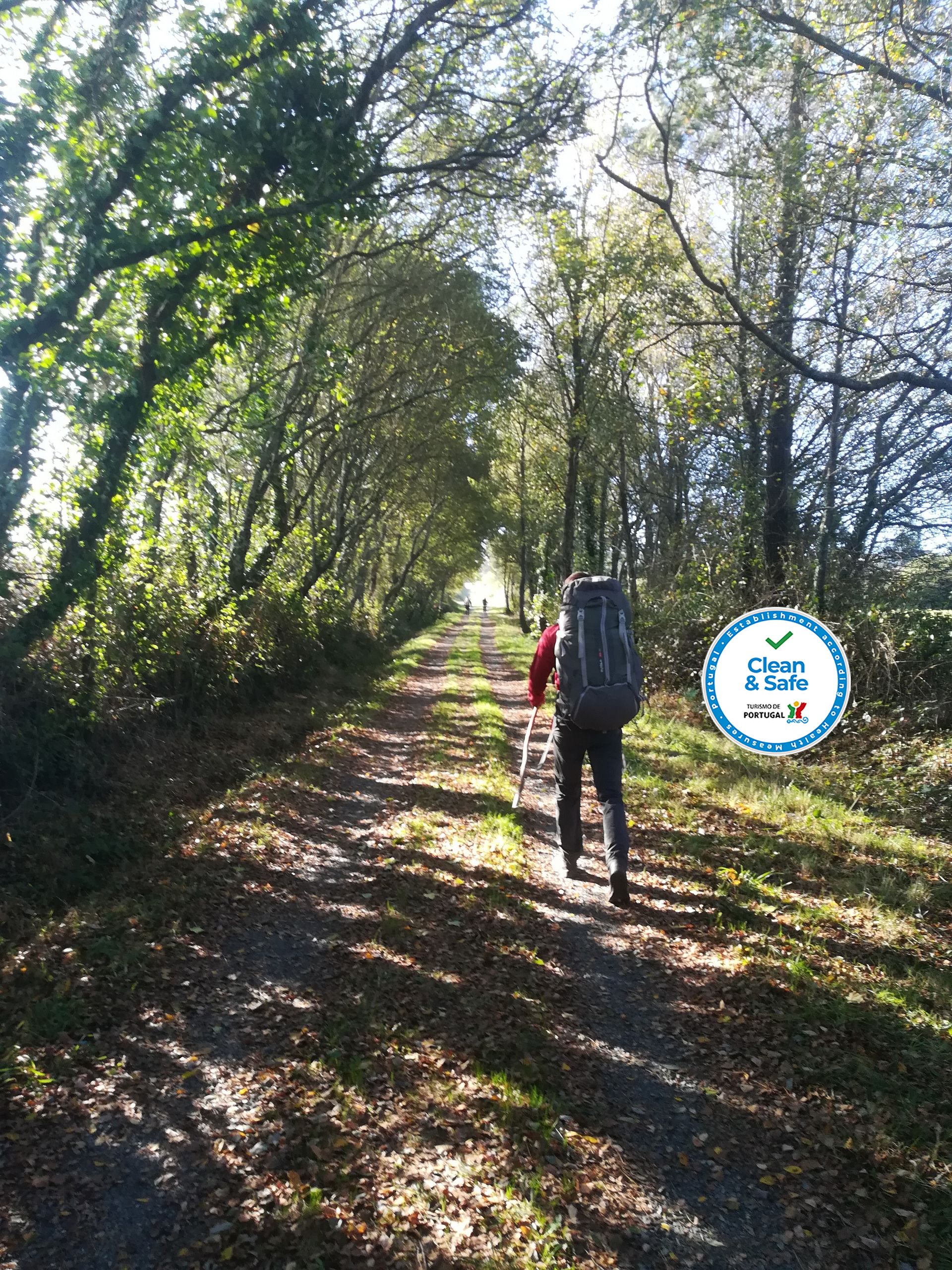 Camino Santiago  Chemin de Saint Jacques 